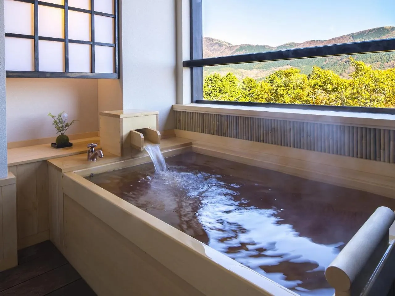 Suiun Hotel Hakone Ryokan